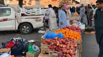 أمانة المنطقة الشرقية تضبط لحوماً وخضروات غير صالحة للاستهلاك