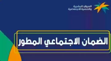 الموارد البشرية تكشف الفئات المستثناة من الضمان الاجتماعي الجديد