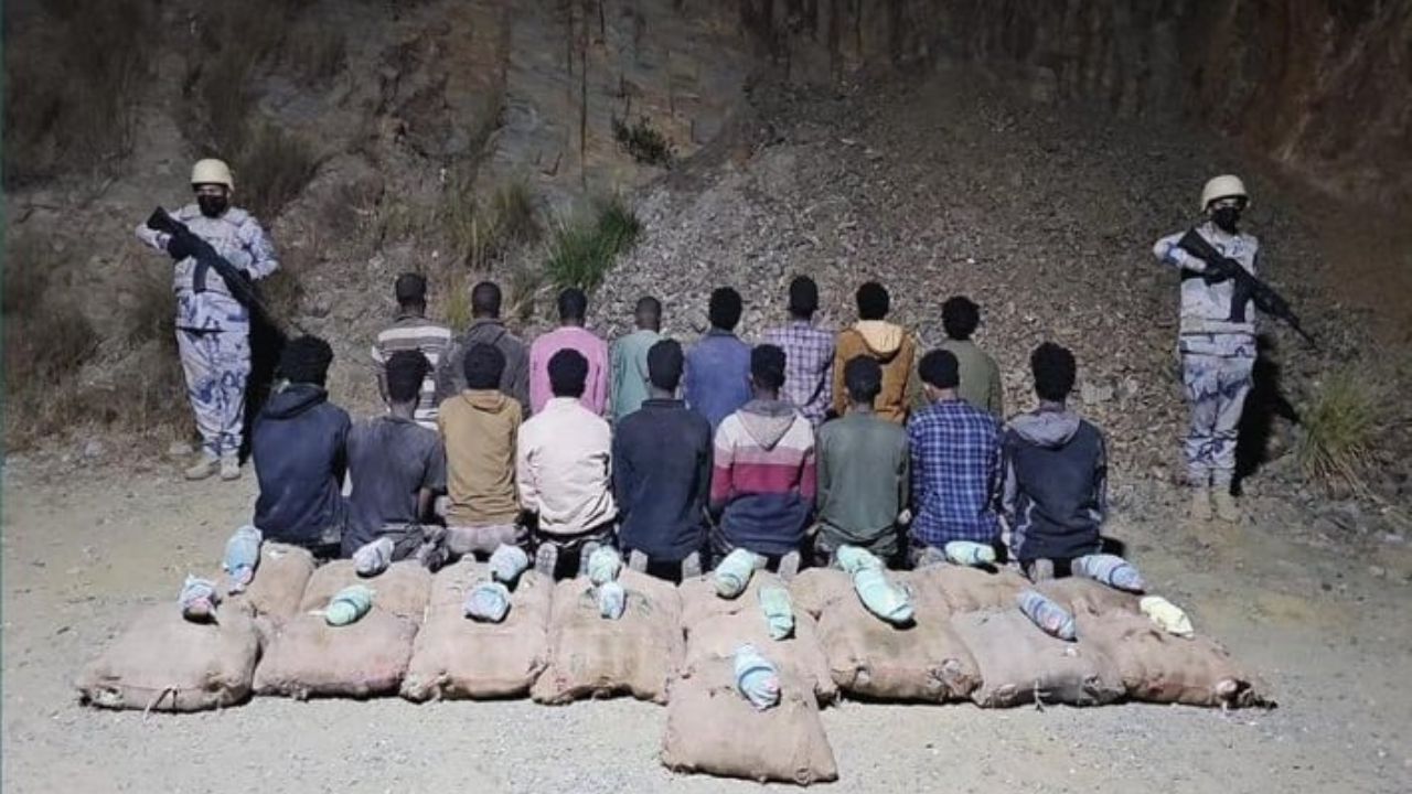 إحباط تهريب 306 كيلوجرامات من القات في جازان